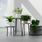 Plant Stand Indoor Tall: Corner Wood Plant Stand 2 Pack Mid Century Modern Decor - Image 7