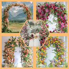 Adorox Metal Garden Arch Trellis - Image 6