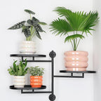 4.1 inch 4 pcs Ceramic Plant Pots - Image 6