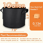 Gardzen 10-Pack 1 Gallon Grow Bags, Aeration Fabric Pots - Image 2