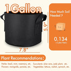 Gardzen 6-Pack 1 Gallon Grow Bags, Aeration Fabric Pots - Image 7