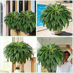 MARTINE MALL 2Pcs 48'' Fake Ferns Look Real Artificial Ferns - Image 7