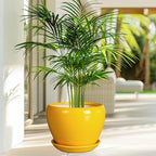 8 Inch Plant Pot - Image 4