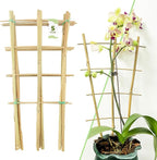 16Inch 5Pack Bamboo Trellis for Climbing Plants, Garden Ladder Trellis for by Avalution