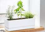 D'vine Dev 12 Inch Window Box Planter, Rectangle Plastic Herb Planter - Image 2