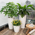 QCQHDU 24, 11 inch Large Planters - Image 6