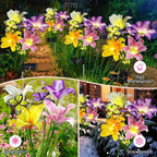 Solar Garden Lights Outdoor, 4 Pack Flower Lights - Image 3