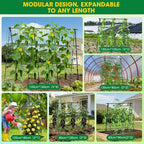 Cucumber Trellis, Metal Garden Trellis - Image 5