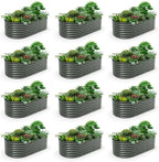 A ANLEOLIFE 12-Set 8X4X2 ft Galvanized Raised Garden Bed Kit, Oval Metal Deep by AAnleolife