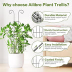 Larger 23.6in Taller Plant Trellis - Image 5