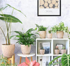 8 Inch + 6 Inch Retro Ceramic Planter Set of 2 - Image 6