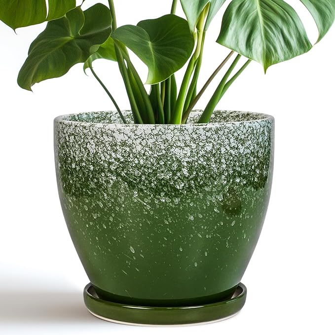 Ceramic Pots for Plants by EPFamily