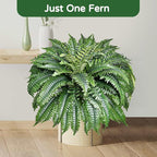 2 Pack Large 88 Leaves Artificial Ferns - Image 4
