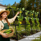 Cucumber Trellis for Raised Bed, U-Shape Garden Arch Metal Support for Climbing - Image 5