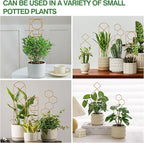 Small Trellis for Potted Plants, 15.94 inch Gold Metal Plant Trellis for - Image 7