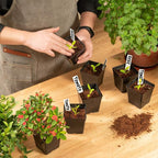 June Fox Square Nursery Pots 3.3 Inches Flexible Plastic Seedling Pots Square - Image 7