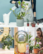 3 Pcs Unique Round Hoya Garden Trellis, Different Small Houseplant Trellis - Image 7
