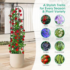 2 Pack Garden Obelisk Trellis for Climbing Plants, Tower Potted Cages for - Image 5