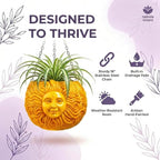 Fun & Unique Sun Face Hanging Planter Quirky Celestial Decor - Image 2
