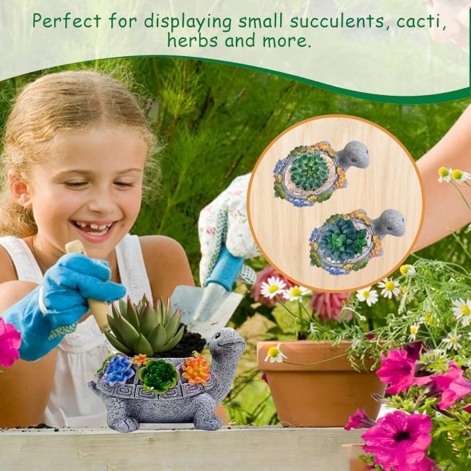 Turtle Succulent Planter, Resin Material, Indoor/Outdoor Use, Cute Decor - Image 5