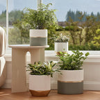 LA Jolie Muse White Ceramic Flower Pot Garden Planters 6.7 Inch Pack 2 Indoor - Image 5