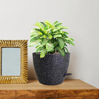 10 inch Self Watering Pots, Plant Pots - Image 7