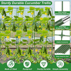 Cucumber Trellis for Raised Bed 51 x 50 Inch U-Shape Garden Trellis for - Image 2