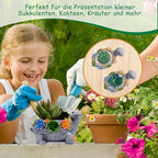 2pcs Small Turtle Planter Window Decor - Image 3