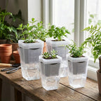 2.5 Inch Mini Self Watering Pots - Image 7