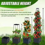 2 Packs Raised Garden Bed Tomato Planter Box - Image 5