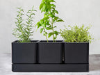 D'vine Dev Herb Garden Planter Set, Plastic Plant Pots - Image 2