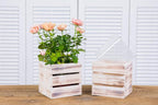 Wood Planter Box with Wine Crate Styled, 5 Inch Square, Plastic Liner, Garden - Image 5