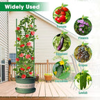 3 Pack Tomato Cages, 51.2in Tomato Plant Support Stakes Heavy-Duty, Garden - Image 7