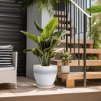 Ceramic Planter - Image 5