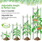 Riare 4 Pack 5.2 FT Tomato Cages - Image 3