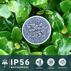 SOLPEX 12 Pack Solar Outdoor Lights Pathway, Stainless Steel Solar Lights - Image 6