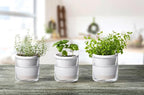D'vine Dev 4 Inch Design Self Watering Planter - Image 2