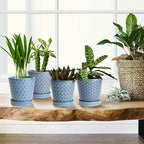 EFISPSS Plant Pots, 5 Inch Pots - Image 5