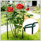 Garden Plant Support Cagess, High Heavy Duty Interlinked Half Round Peony - Image 7