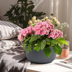 T4U 10 Inch Self Watering Pots for Indoor Plants, Plastic Plant Pots - Image 7