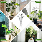 COOMIN 30'' Monstera Plant Support Outdoor, Metal Expandable Plant Supports - Image 6