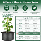 T4U Fabric Plant Grow Bags - Image 2