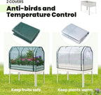 KING BIRD Raised Garden Bed - Image 2
