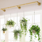 Bamworld Plant Hanger Indoor Hanging Planters by Bamworld