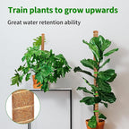 4 Pack 28 Inch Moss Pole Monstera Plant Support, Coir Moss Poles - Image 8