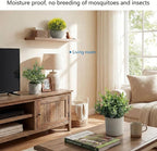 Fake Plants, 5 Pack Artificial Eucalyptus & Greenery in Cement Pots - Image 3