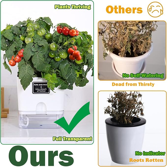 Planterhoma 6 Pack-5.5 Inch Self Watering Plant Pots - Image 2