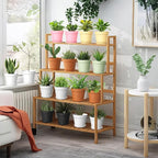 10 Pack 6 Inch Plant Pots with Drainage and Saucers, Stackable Nursery Planters - Image 6