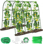 U-Shape Cucumber Trellis for Raised Bed by Eunice