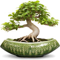 Bonsai Planter 18 Inch by Teagas